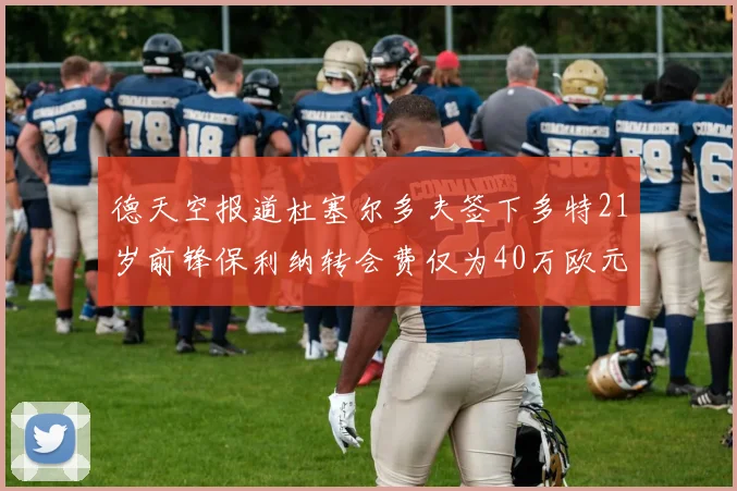 德天空报道杜塞尔多夫签下多特21岁前锋保利纳转会费仅为40万欧元